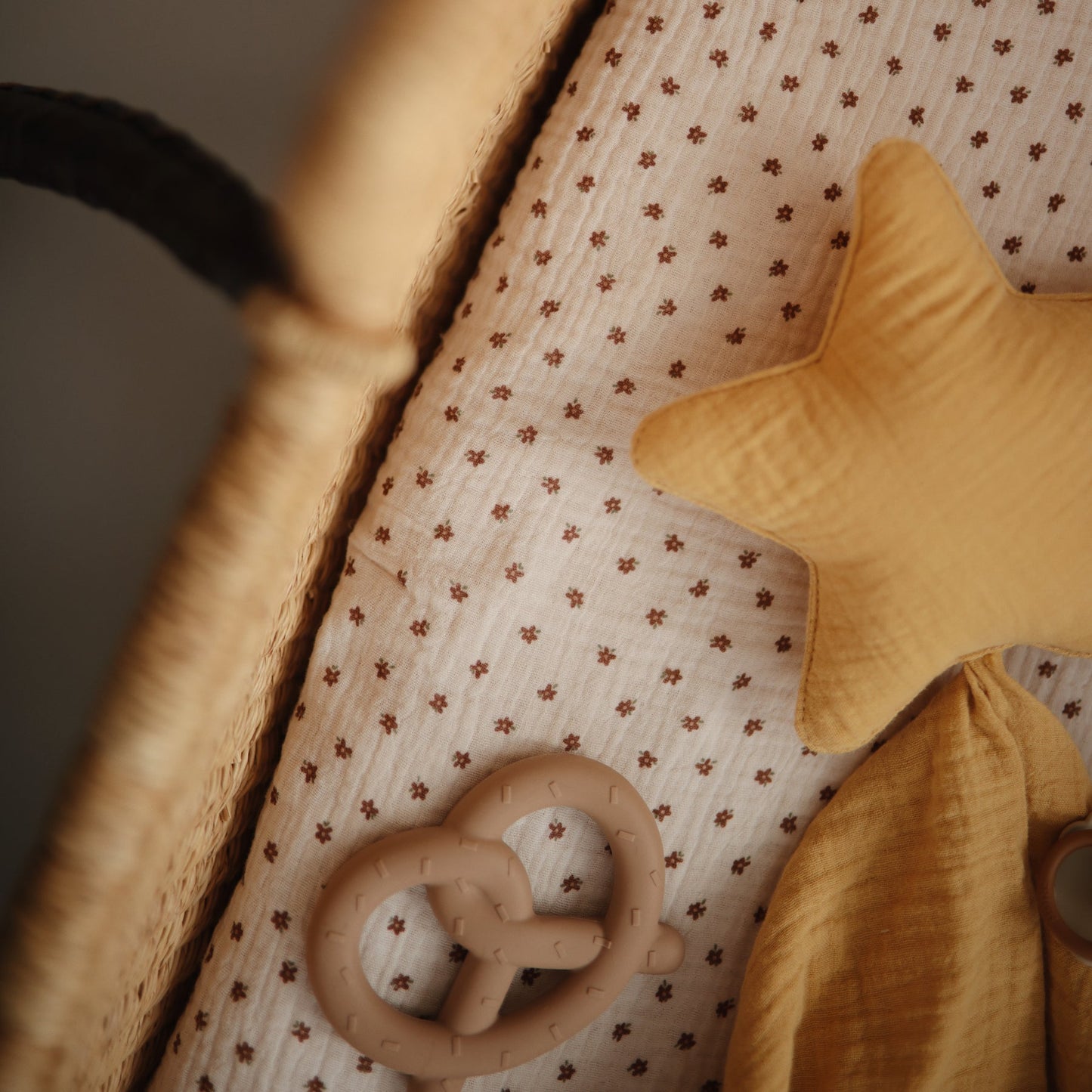 
                  
                    Pretzel Teether
                  
                
