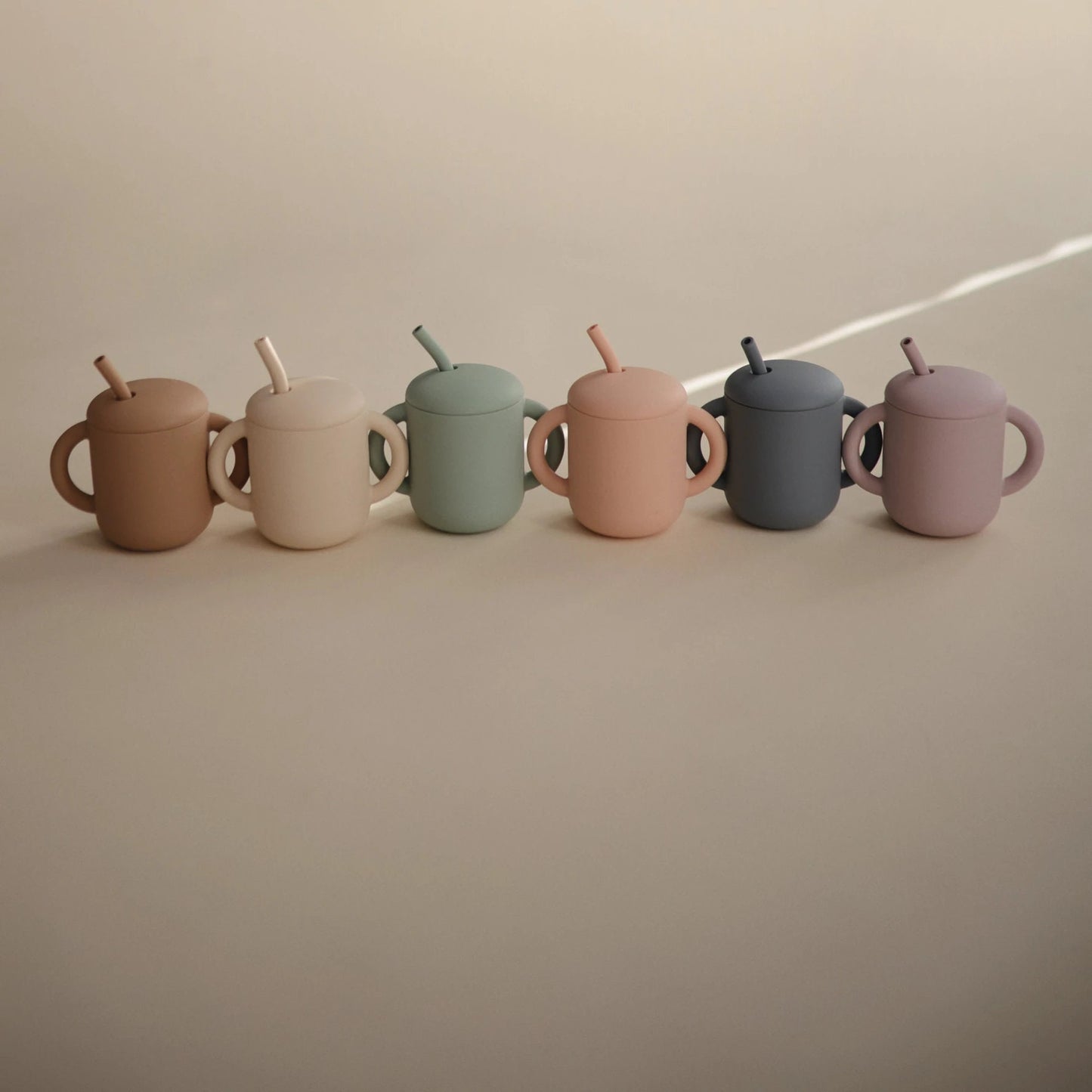 
                  
                    Silicone Straw Cup
                  
                